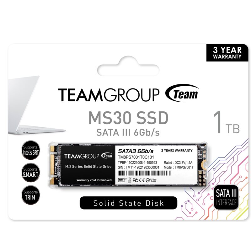 Team MS30 1TB M.2 SATA III SSD